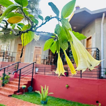 Babylon Lodge Marangu Luaran gambar