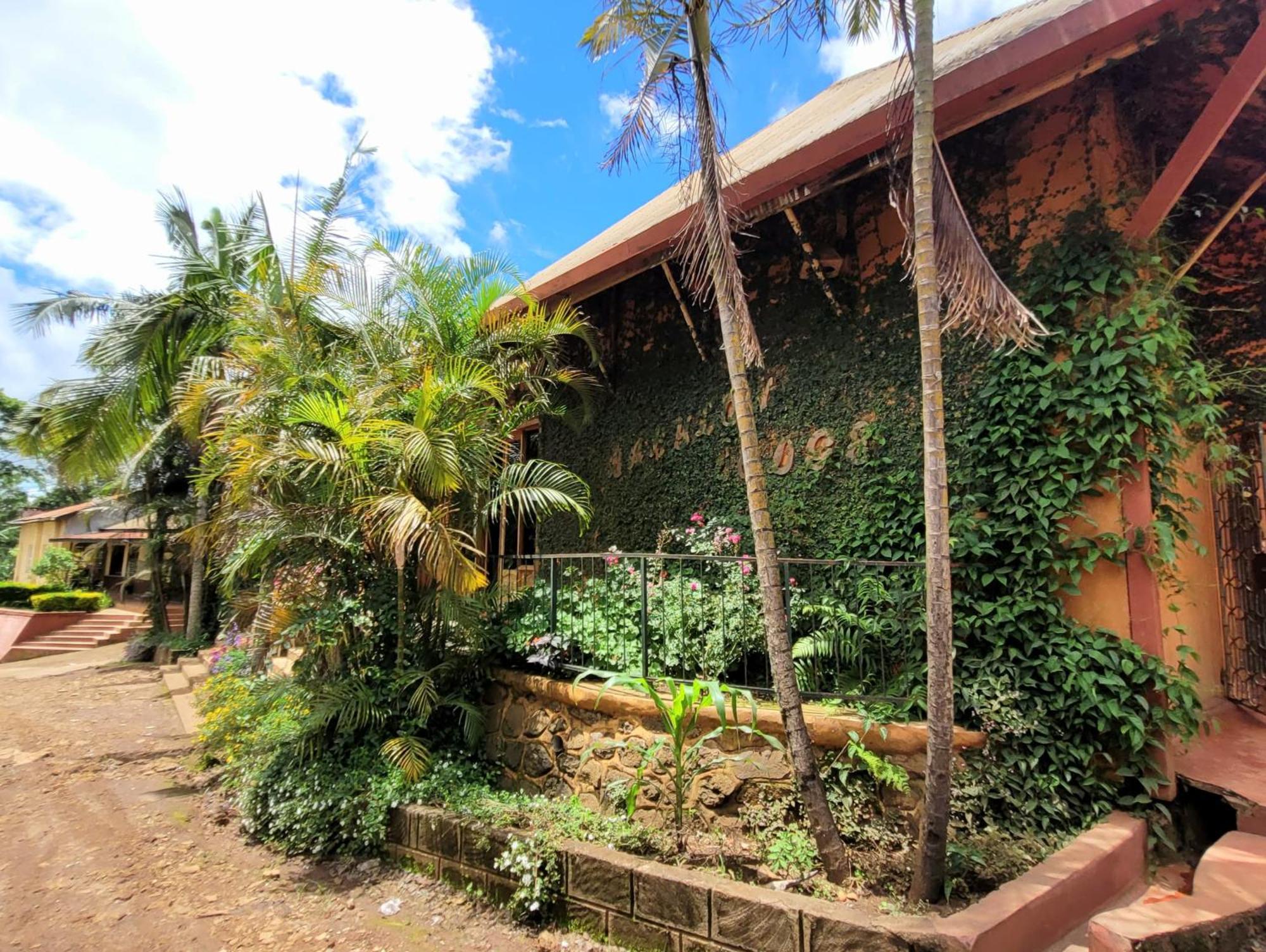 Babylon Lodge Marangu Luaran gambar