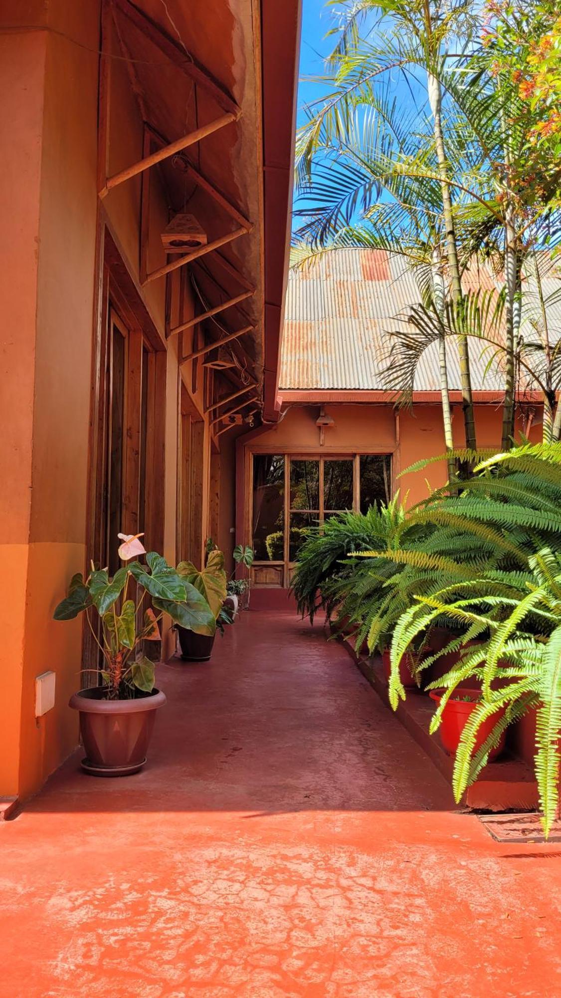 Babylon Lodge Marangu Luaran gambar