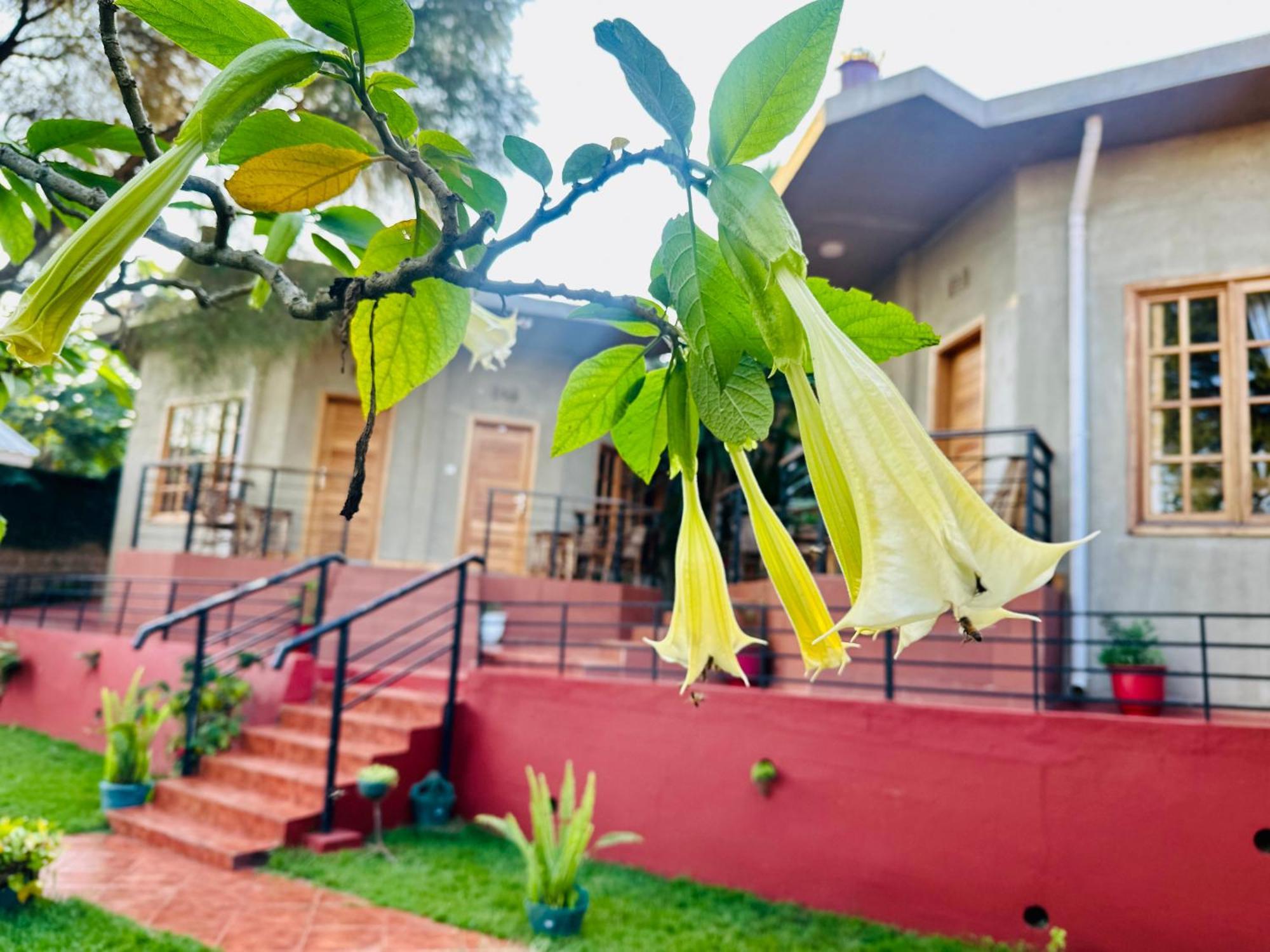 Babylon Lodge Marangu Luaran gambar